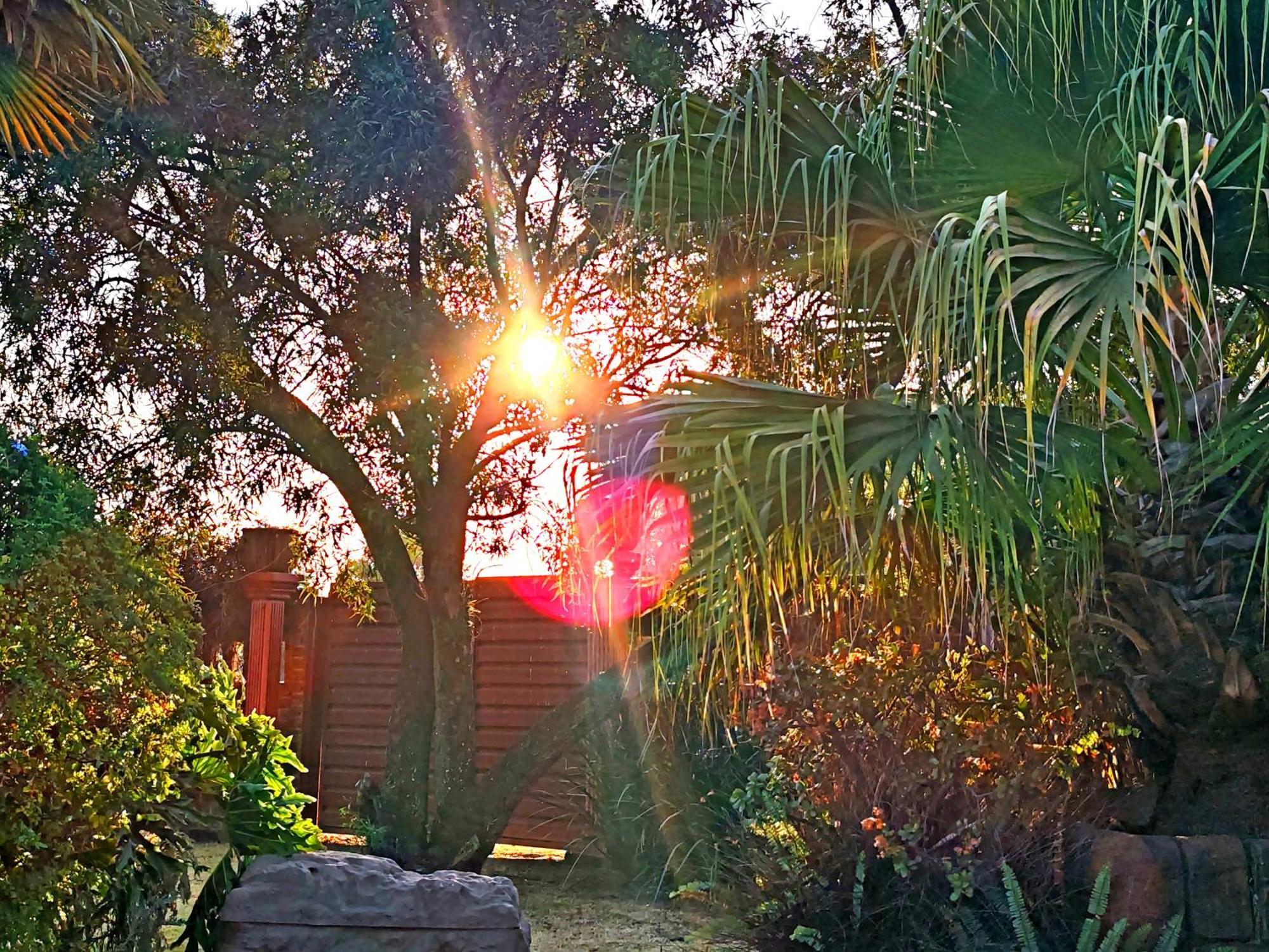 Sun And Stars Hotell Benoni Exteriör bild
